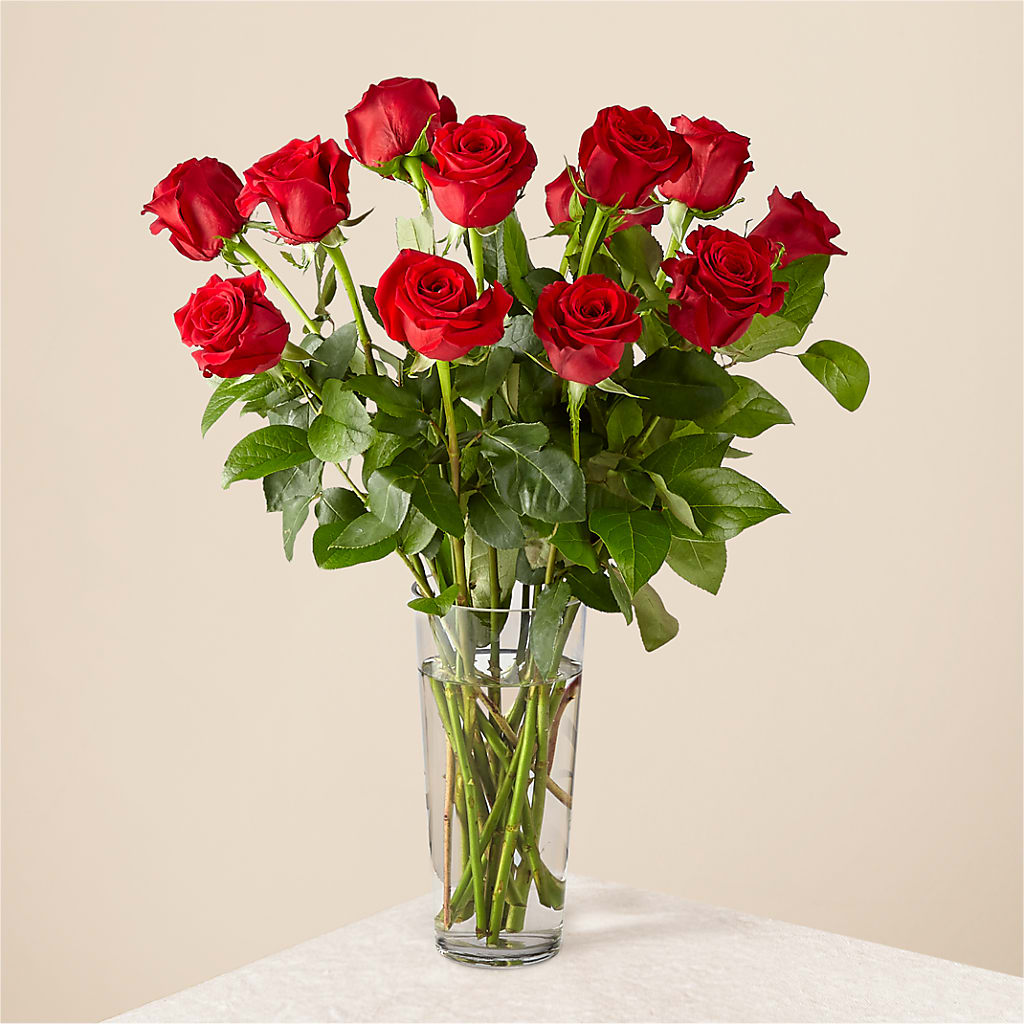 Long Stem Red Rose Bouquet – Longview Flower Shop, Longview TX