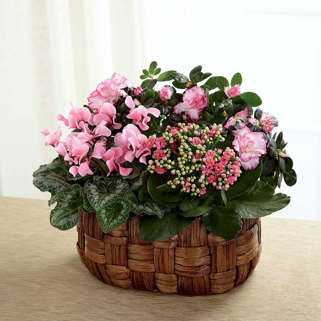 Pink Assortment – Longview Flower Shop, Longview TX