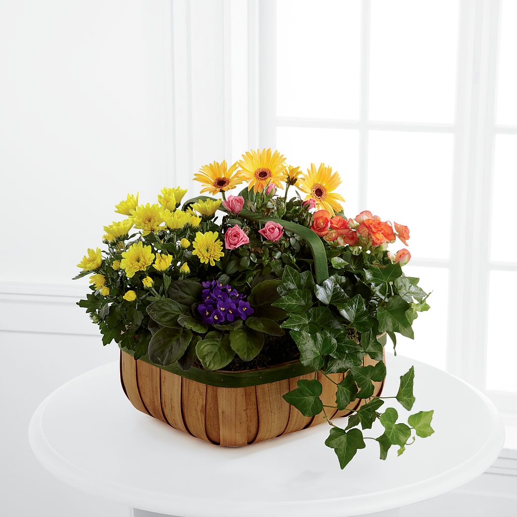 Gentle Blossoms Basket – Longview Flower Shop, Longview TX