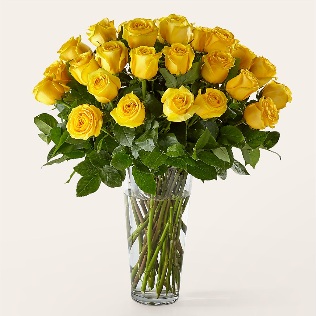 Long Stem Yellow Rose Bouquet – Longview Flower Shop, Longview TX