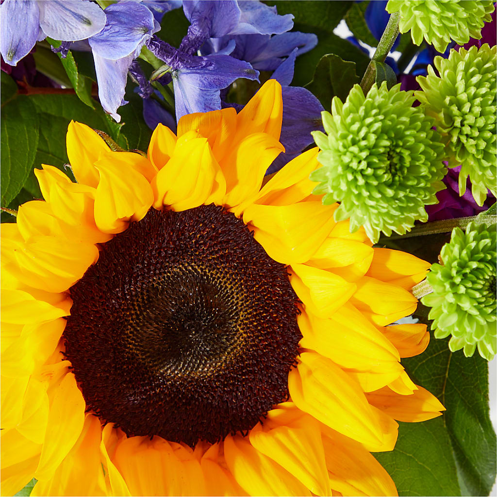 Catching Rays Bouquet – Longview Flower Shop, Longview TX