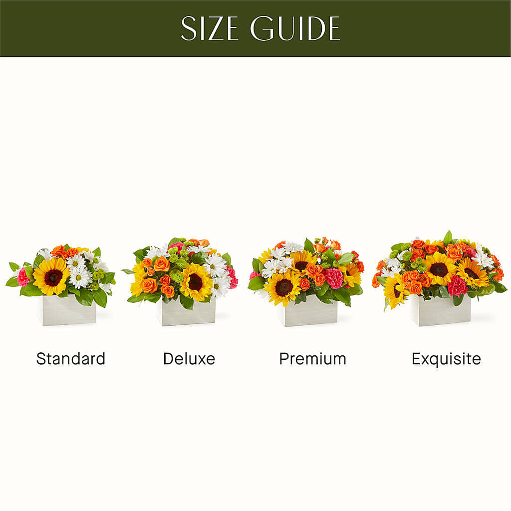 Sun-drenched Blooms Box Bouquet – Longview Flower Shop, Longview TX