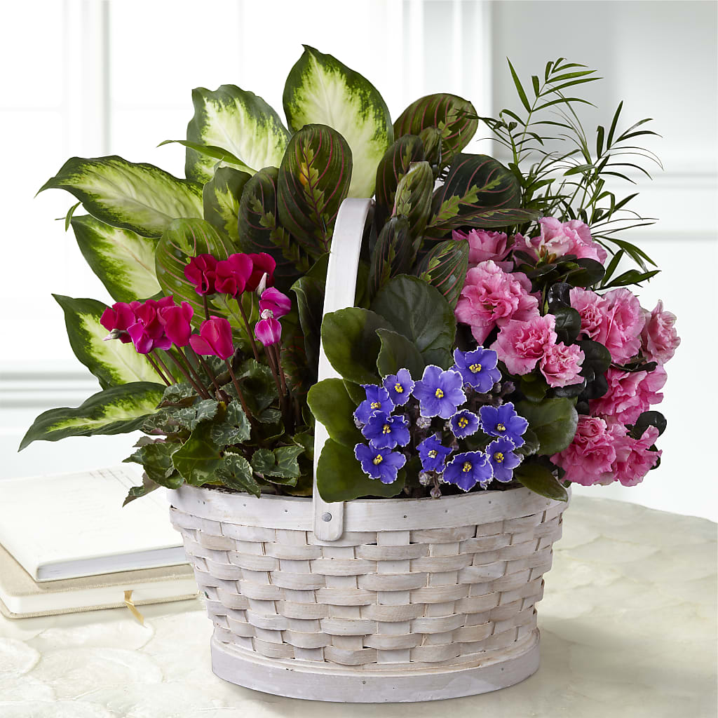 Peaceful Garden Planter – Longview Flower Shop, Longview TX