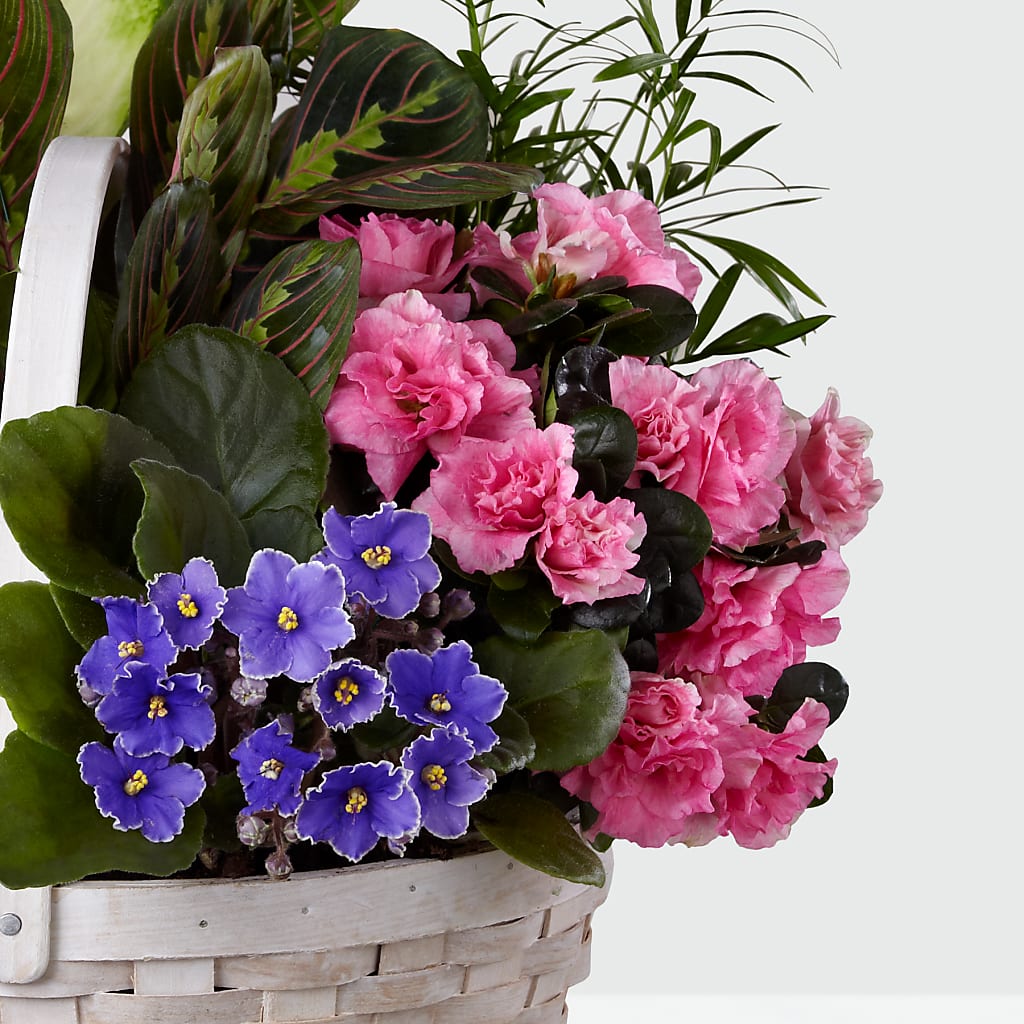 Peaceful Garden Planter – Longview Flower Shop, Longview TX