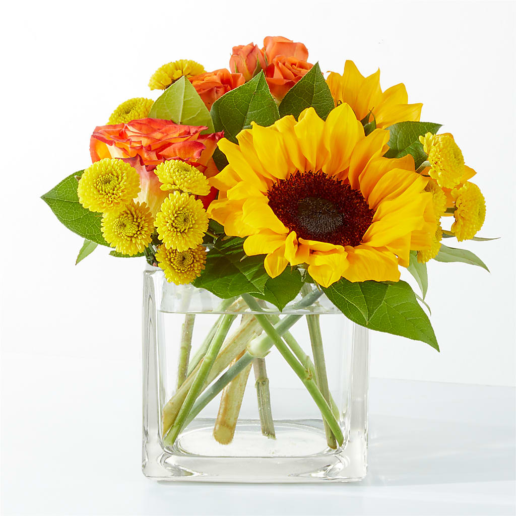 Picnic in the Park Bouquet – Longview Flower Shop, Longview TX