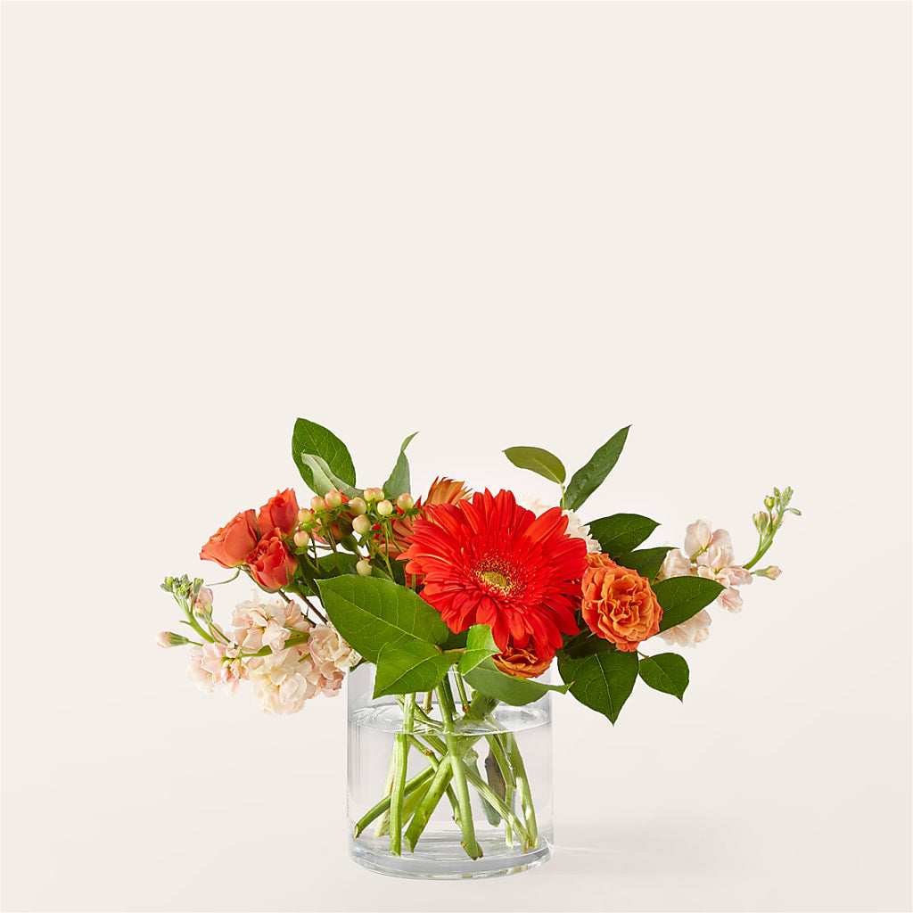 Paloma Please Bouquet – Longview Flower Shop, Longview TX