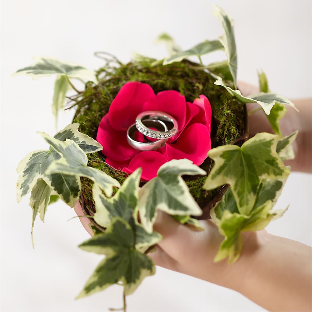 Lila Rose Ring Nest – Longview Flower Shop, Longview TX