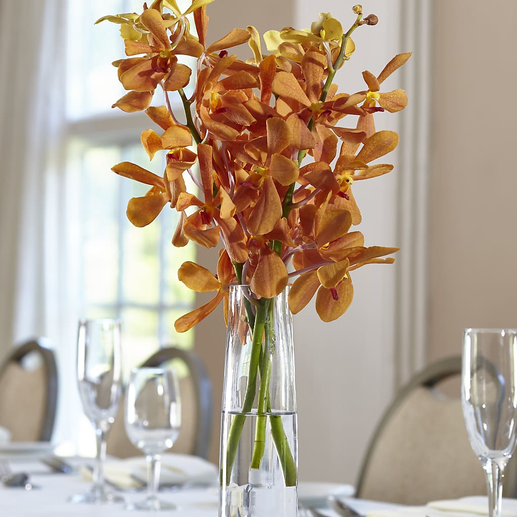 Orange Mokara Bud Vase – Longview Flower Shop, Longview TX