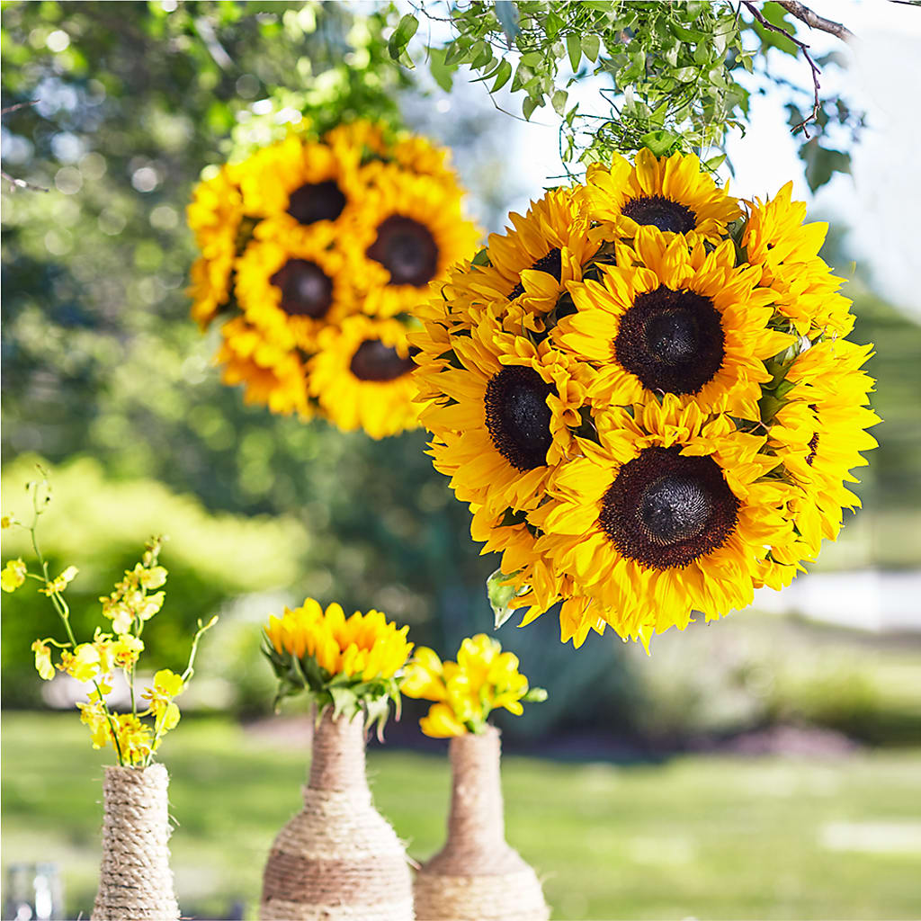 Sublime Garden Hanging Arrangement – Longview Flower Shop, Longview TX