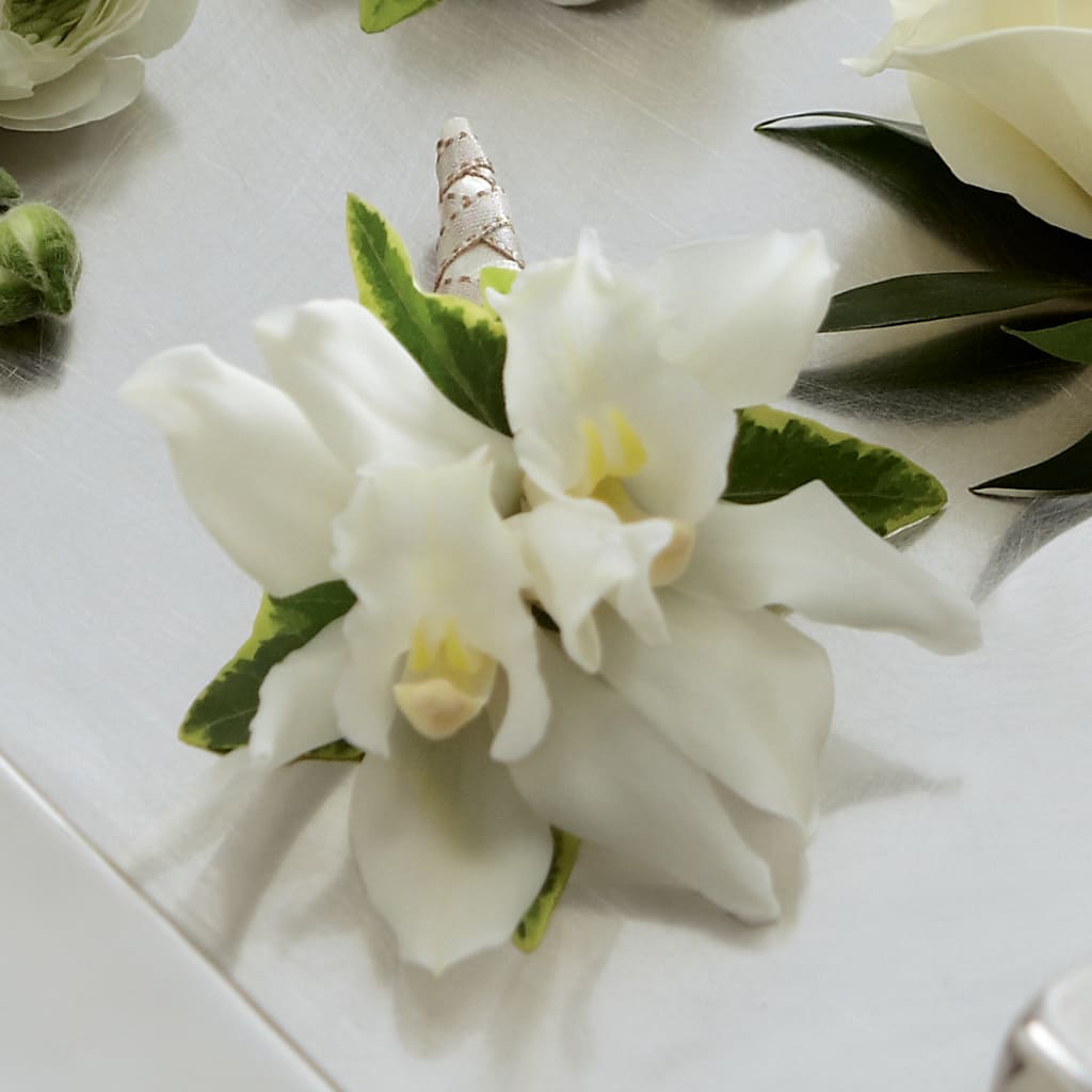 White Mini Cymbidium Boutonniere – Longview Flower Shop, Longview TX