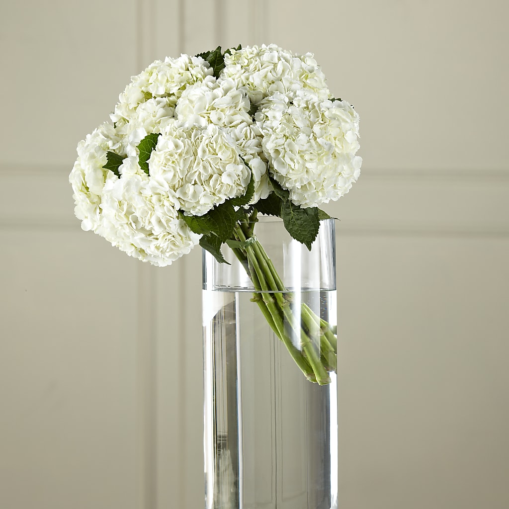 White Hydrangea Hand-Tied Bouquet – Longview Flower Shop, Longview TX