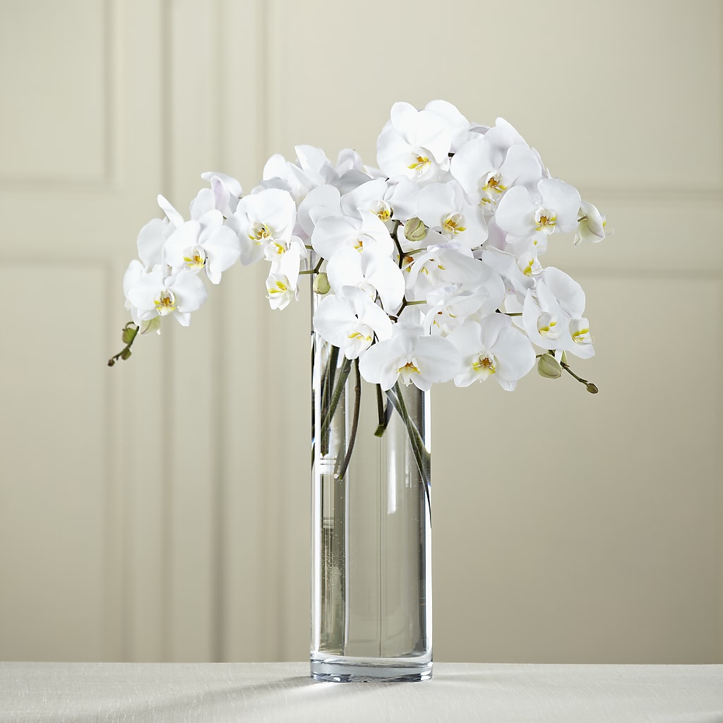 White Phalaenopsis Bouquet – Longview Flower Shop, Longview TX