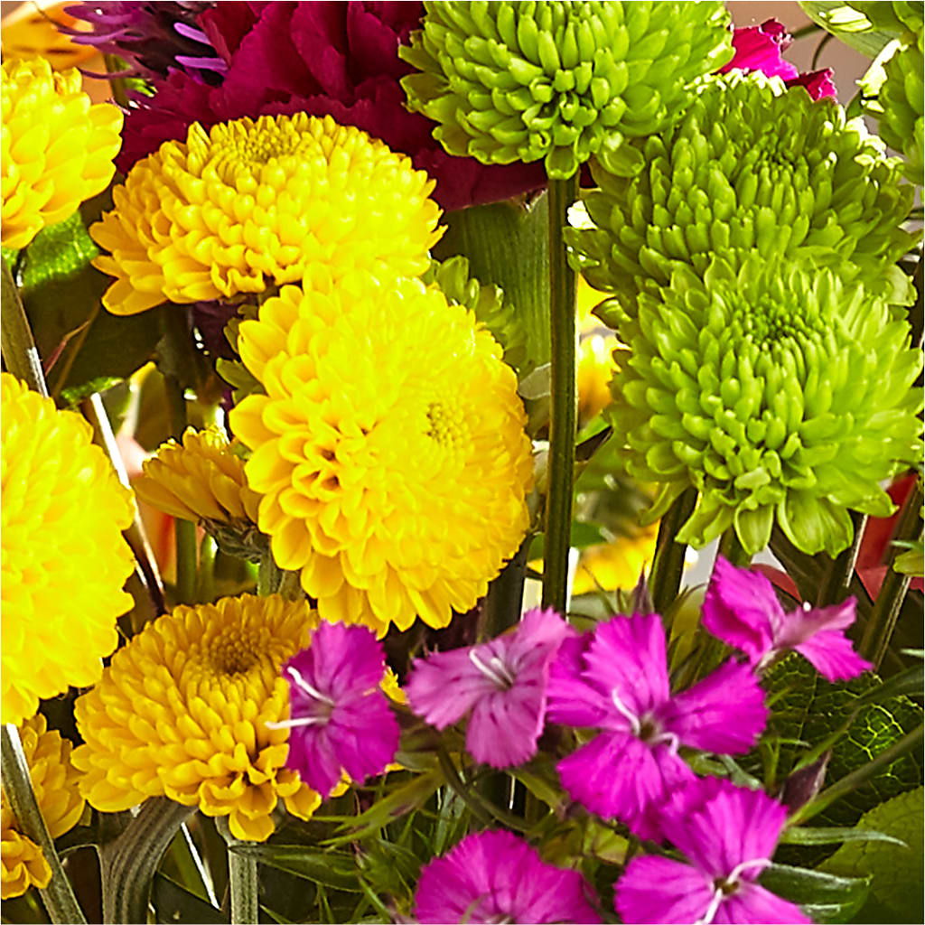 Bold & Bright – A Florist Original –  Longview Flower Shop, Longview TX