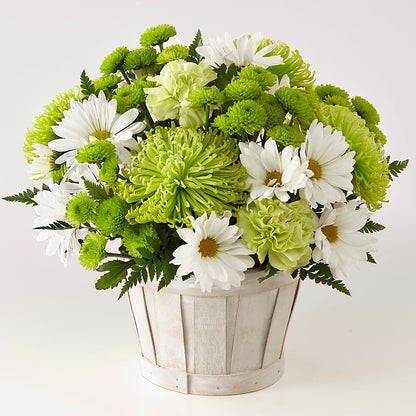 Lucky Charm Basket (Standard) –  Longview Flower Shop, Longview TX