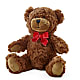 Adorable Plush Bear –  Longview Flower Shop, Longview TX