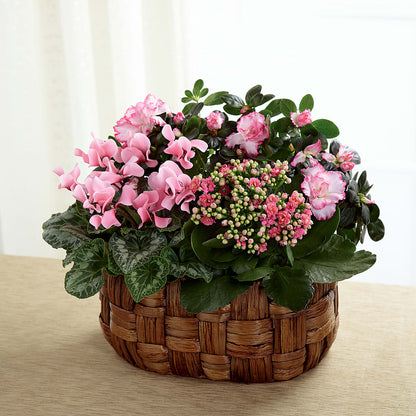Pink Assortment –  Longview Flower Shop, Longview TX