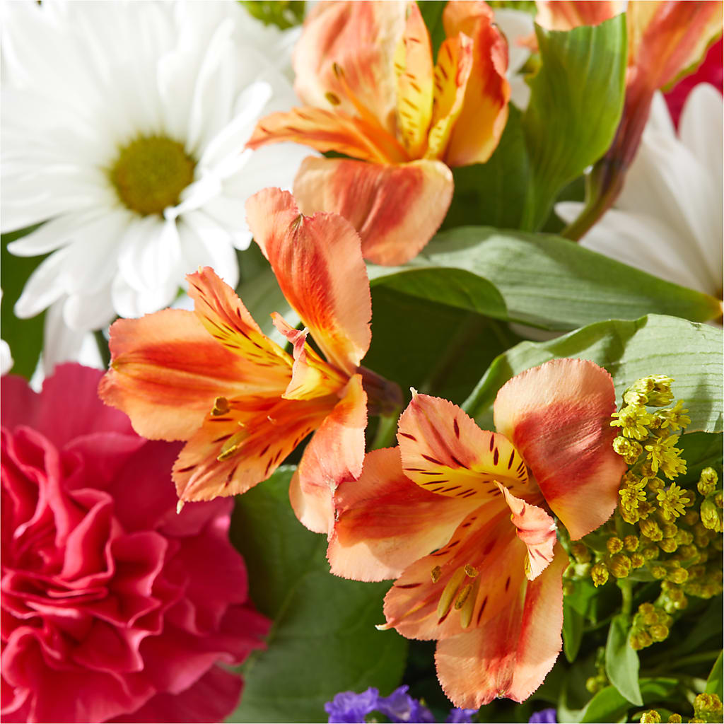 Oopsie Daisy Box Bouquet –  Longview Flower Shop, Longview TX