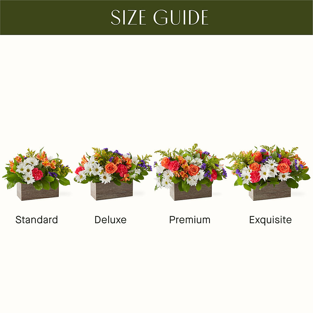 Oopsie Daisy Box Bouquet –  Longview Flower Shop, Longview TX