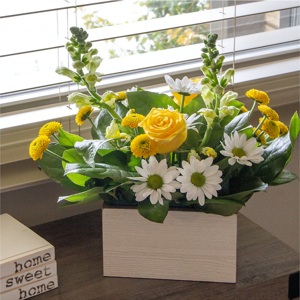 Sun Salutation Box Bouquet –  Longview Flower Shop, Longview TX