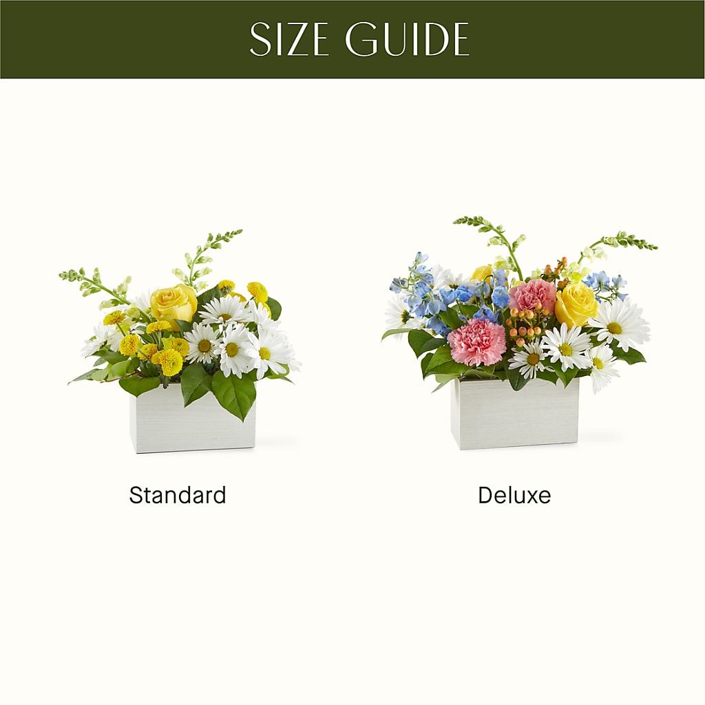 Sun Salutation Box Bouquet –  Longview Flower Shop, Longview TX