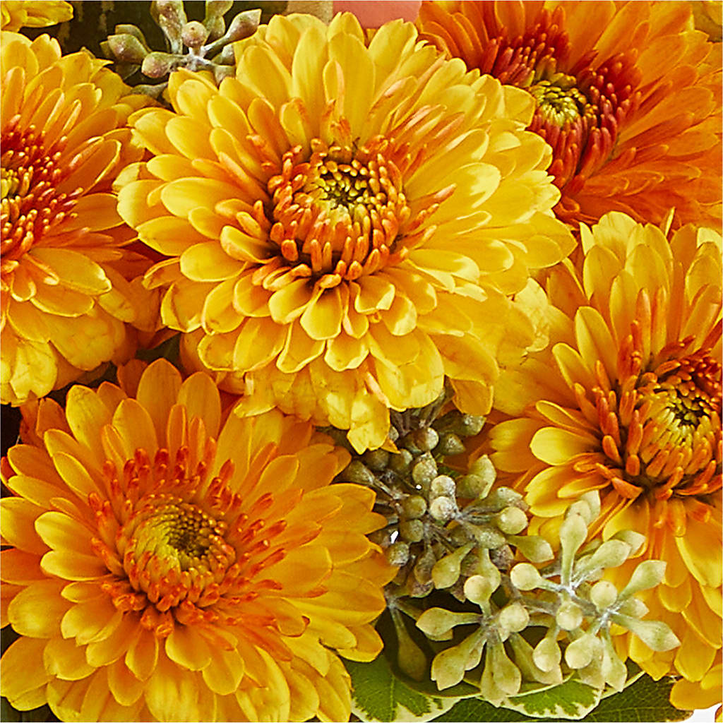 Peachy Pumpkin –  Longview Flower Shop, Longview TX