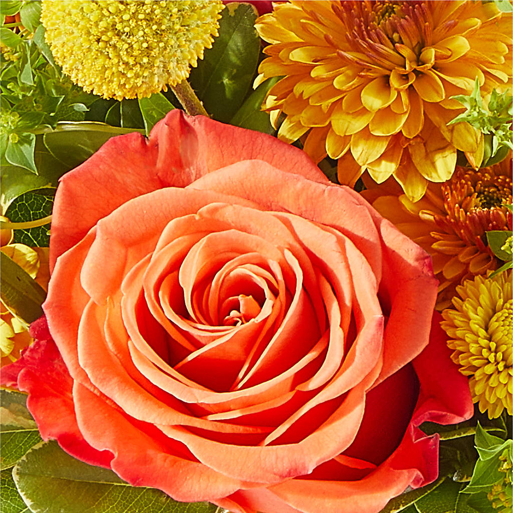 Gourdgeous Pumpkin –  Longview Flower Shop, Longview TX