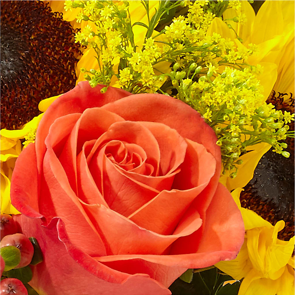 Pick of the Patch Pumpkin Bouquet –  Longview Flower Shop, Longview TX