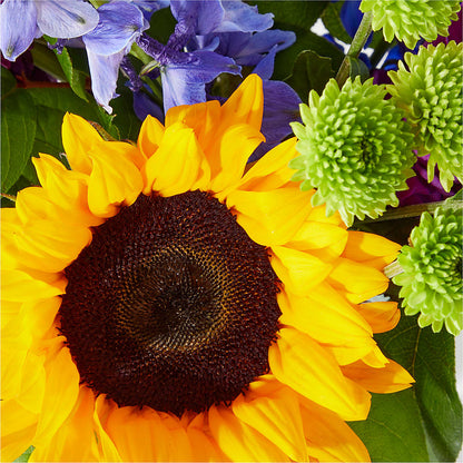 Catching Rays Bouquet –  Longview Flower Shop, Longview TX