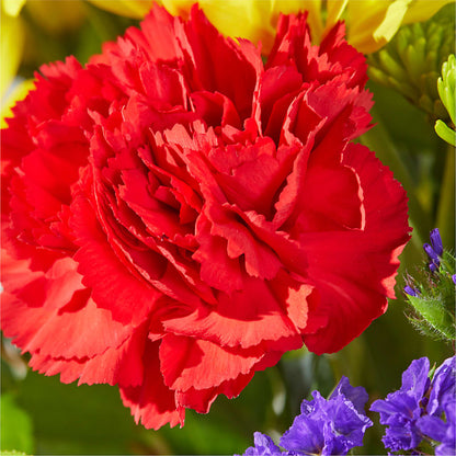 Brighter Days Bouquet –  Longview Flower Shop, Longview TX