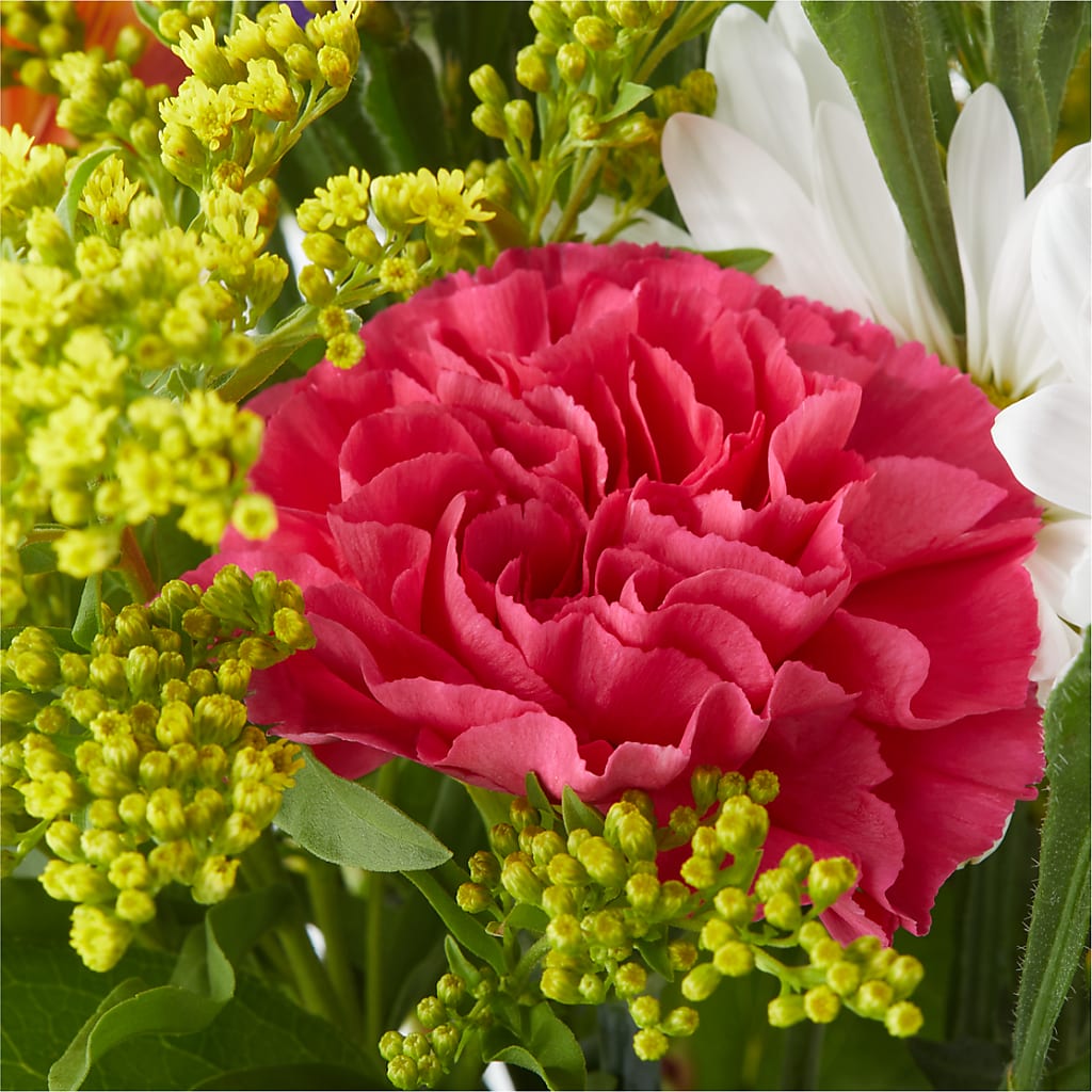 Oopsie Daisy Bouquet –  Longview Flower Shop, Longview TX