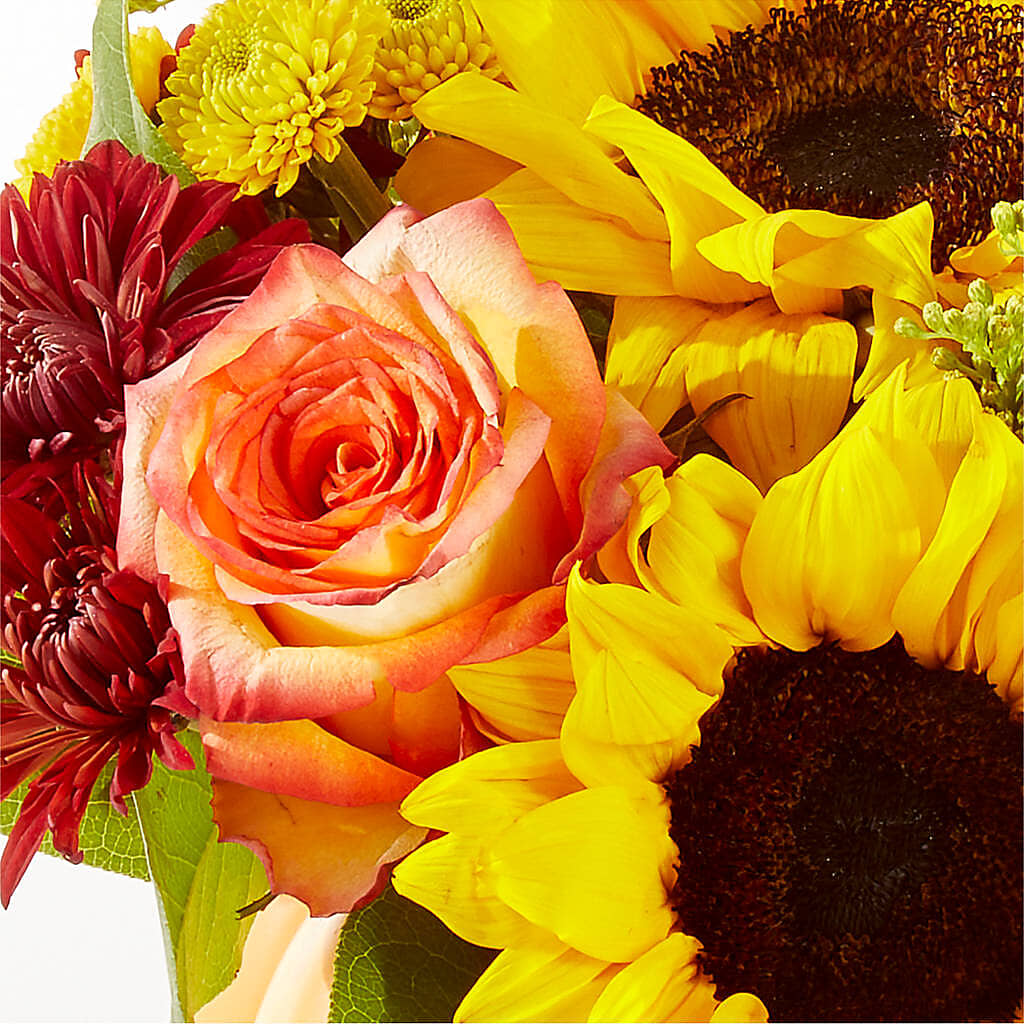 Golden Gourd Pumpkin Bouquet –  Longview Flower Shop, Longview TX
