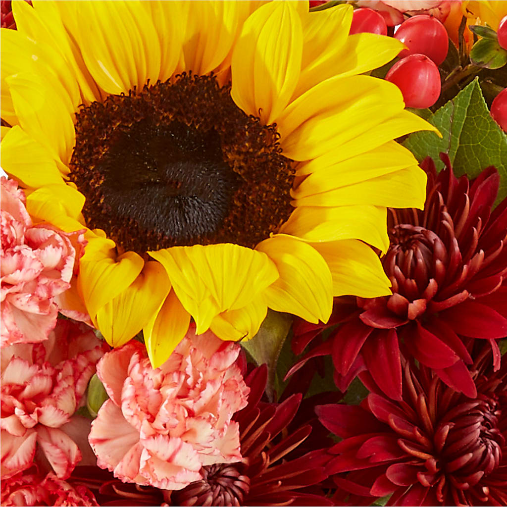 Fresh Cider Bouquet –  Longview Flower Shop, Longview TX