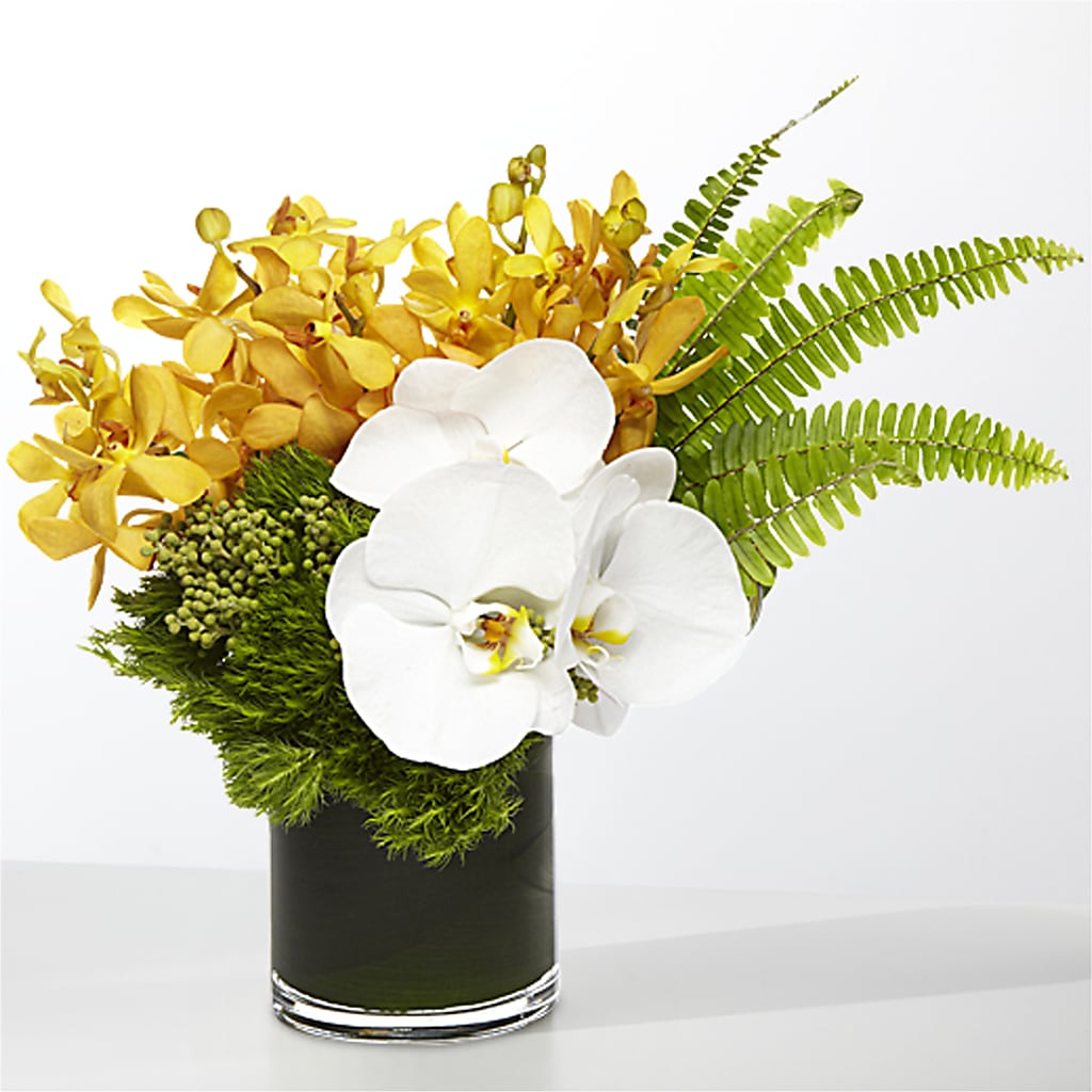The Tropics –  Longview Flower Shop, Longview TX