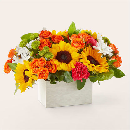 Sun-drenched Blooms Box Bouquet –  Longview Flower Shop, Longview TX