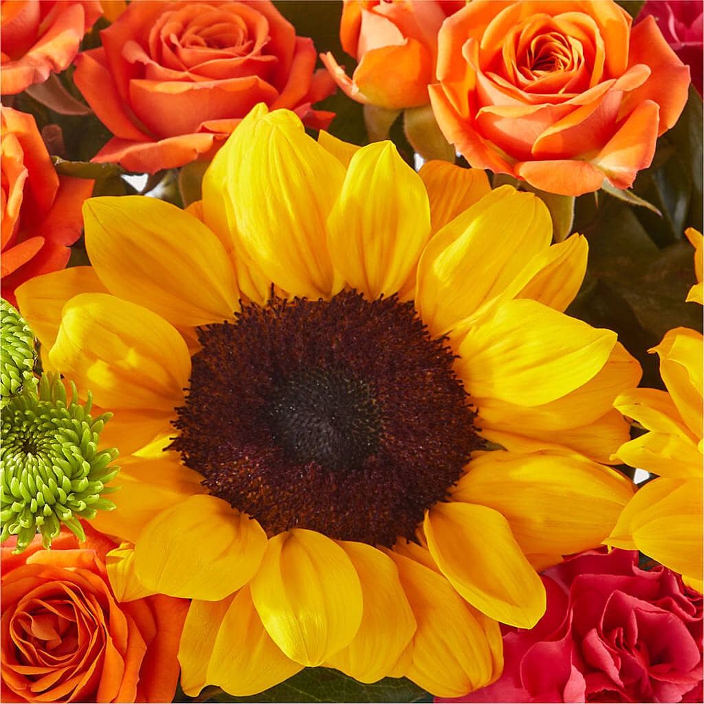 Sun-drenched Blooms Box Bouquet –  Longview Flower Shop, Longview TX