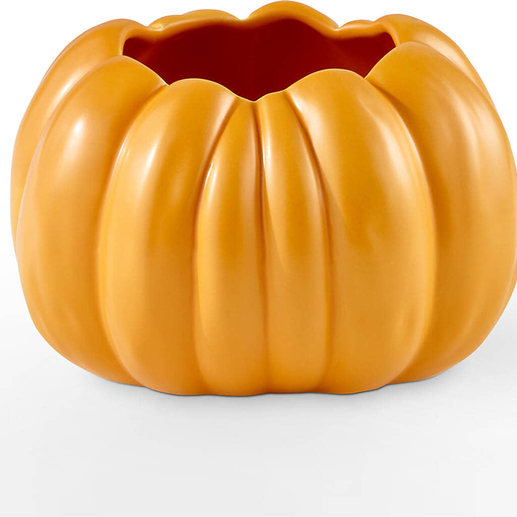 Golden Gourd Pumpkin Bouquet –  Longview Flower Shop, Longview TX