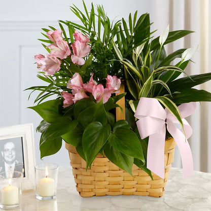 Living Spirit Dishgarden –  Longview Flower Shop, Longview TX