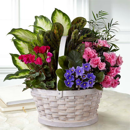 Peaceful Garden Planter –  Longview Flower Shop, Longview TX