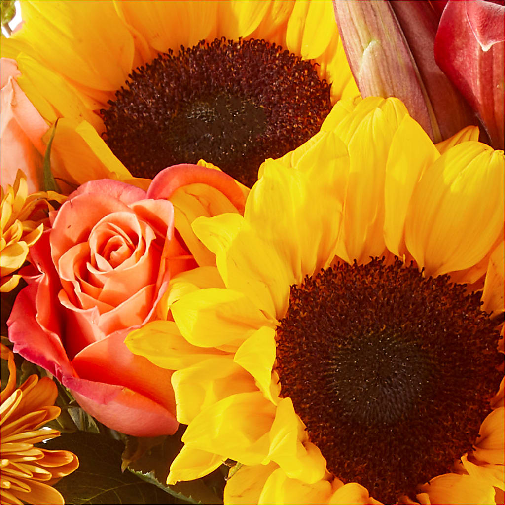 Acorn Lane Bouquet –  Longview Flower Shop, Longview TX