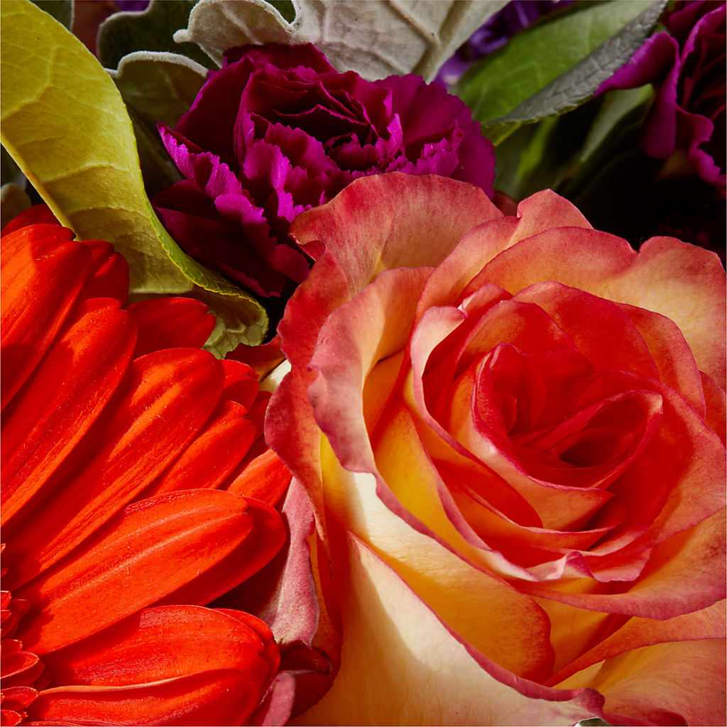Sangria Bouquet –  Longview Flower Shop, Longview TX