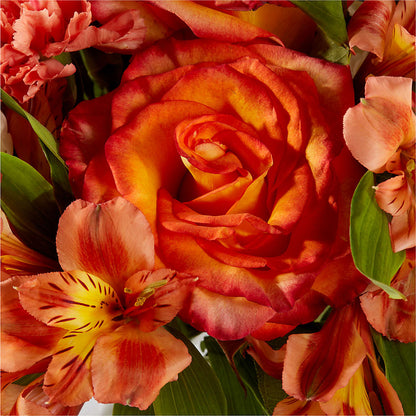 Apricot Glow Bouquet –  Longview Flower Shop, Longview TX
