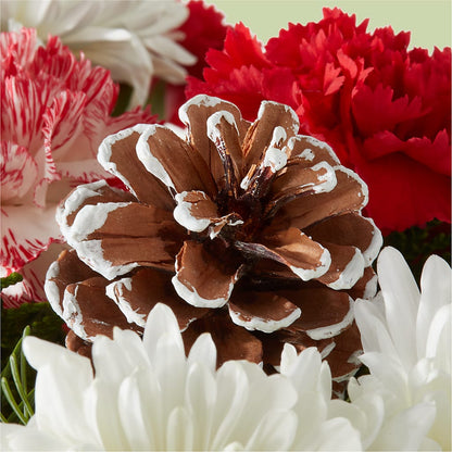 Candy Cane Lane Bouquet –  Longview Flower Shop, Longview TX