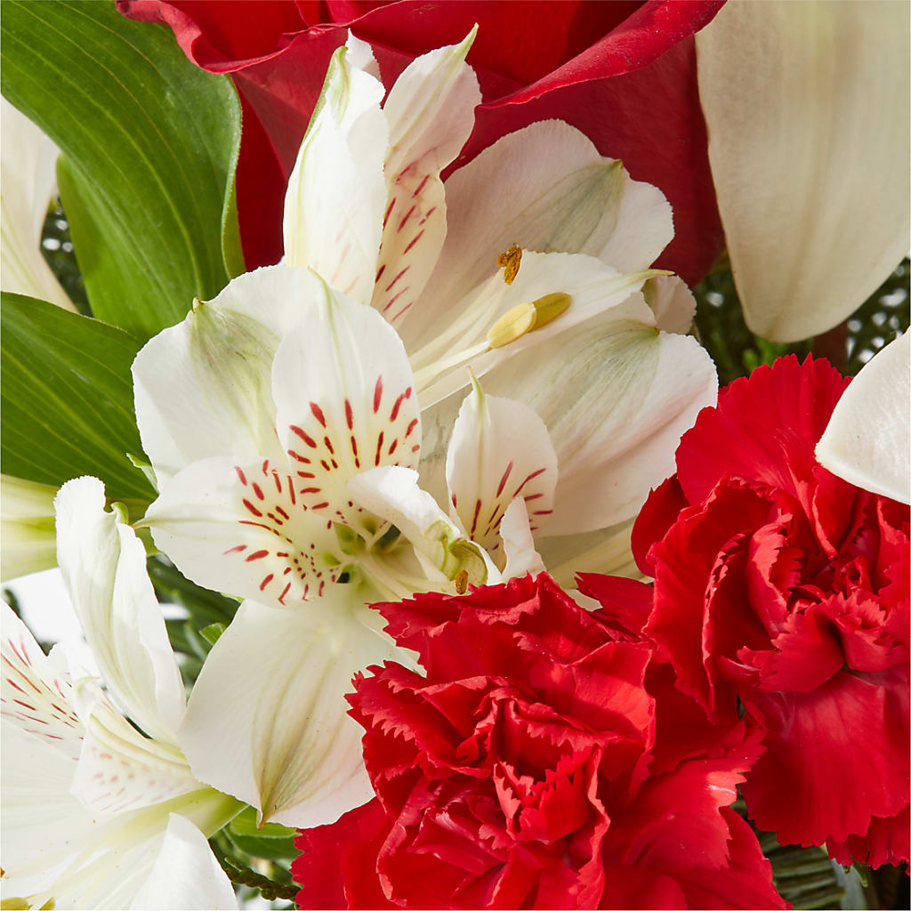 Holiday Season Bouquet –  Longview Flower Shop, Longview TX
