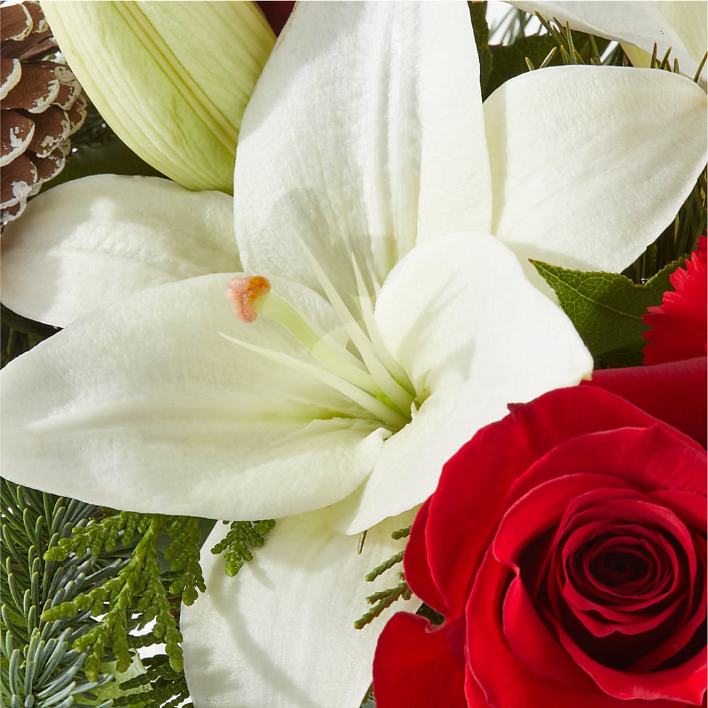 Oh So Jolly Bouquet –  Longview Flower Shop, Longview TX