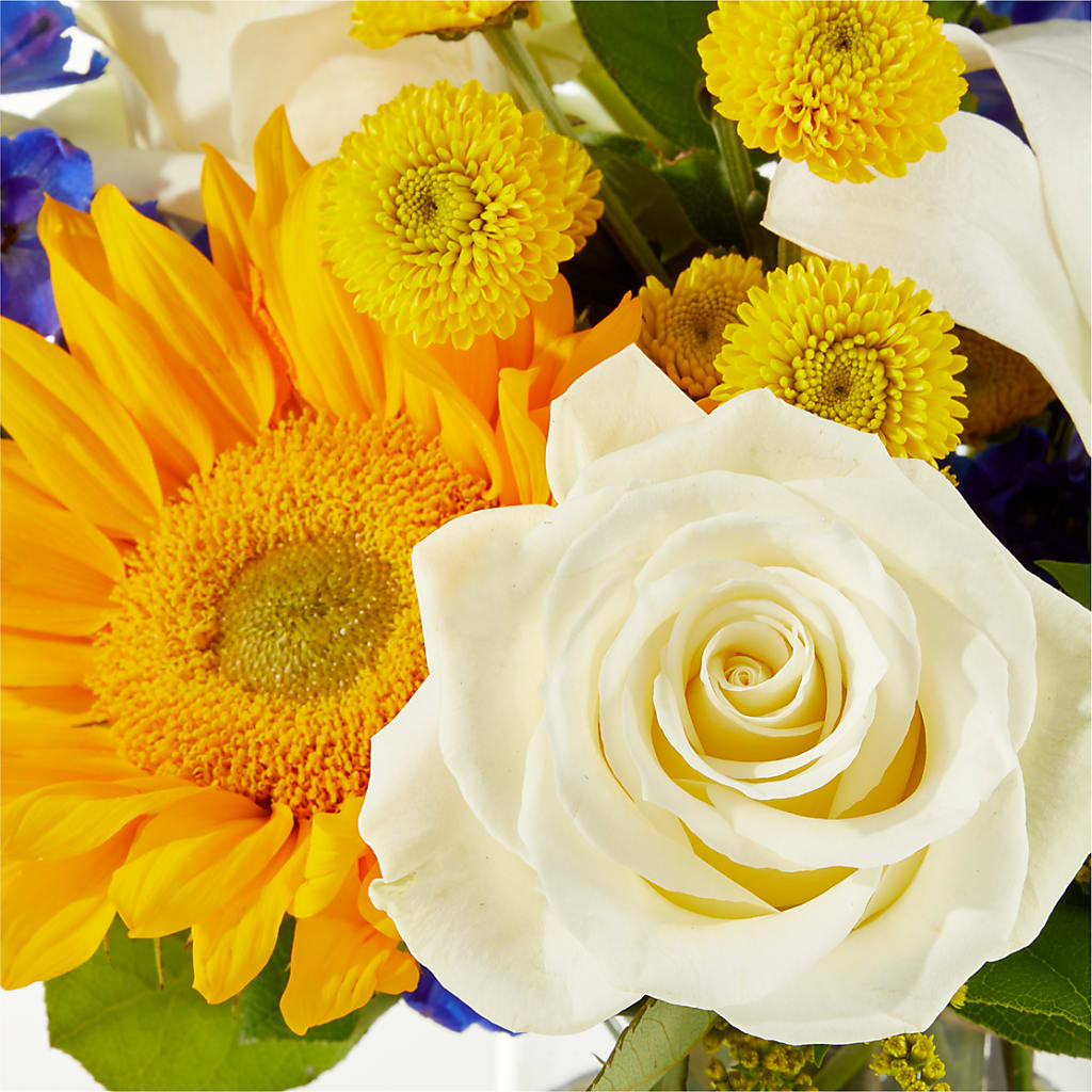 Stargazing Bouquet –  Longview Flower Shop, Longview TX