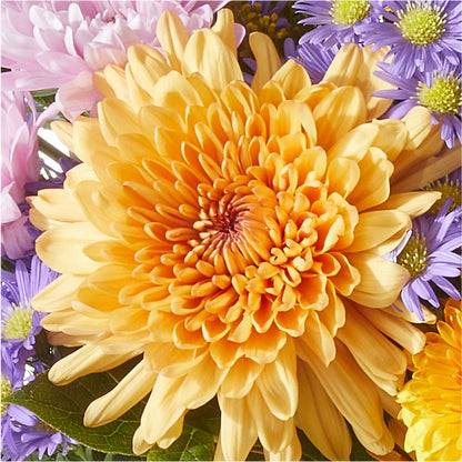 Countryside Bouquet –  Longview Flower Shop, Longview TX