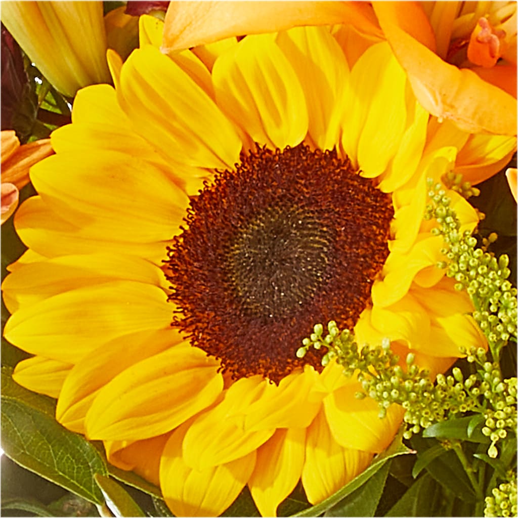 Seasons Change Bouquet –  Longview Flower Shop, Longview TX