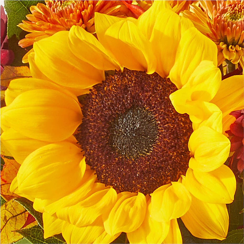 Sunny Side Bouquet –  Longview Flower Shop, Longview TX