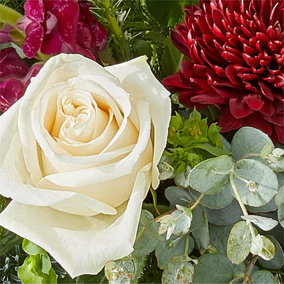 Cranberry Fizz Bouquet –  Longview Flower Shop, Longview TX