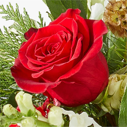 Deck the Halls Bouquet –  Longview Flower Shop, Longview TX